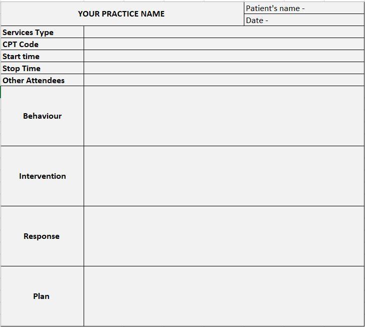 How to Write BIRP Notes: Examples and Templates
