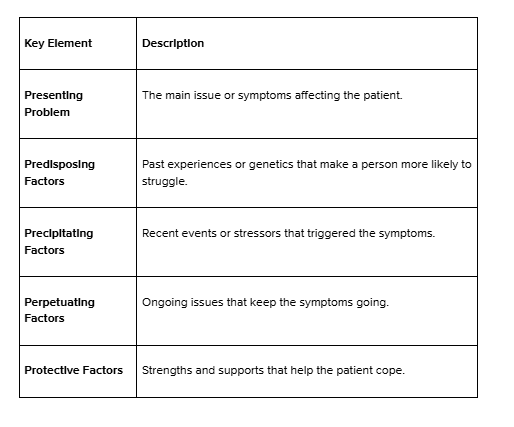 Understanding Case Formulation in Mental Health: Application and Use