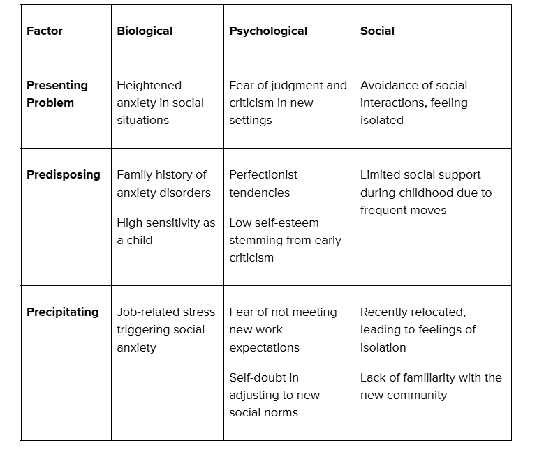 Understanding Case Formulation in Mental Health: Application and Use